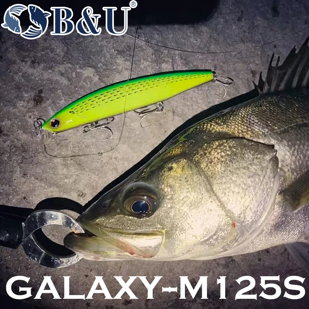 B&U 125mm Sinking Minnow Sea F - Fishing Lure Jerkbait บทวิจารณ์และราคา